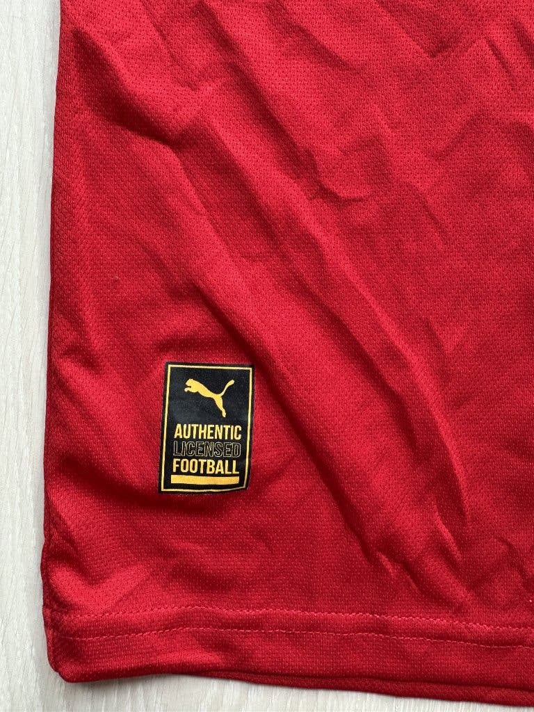Puma Marokko Thuisshirt L